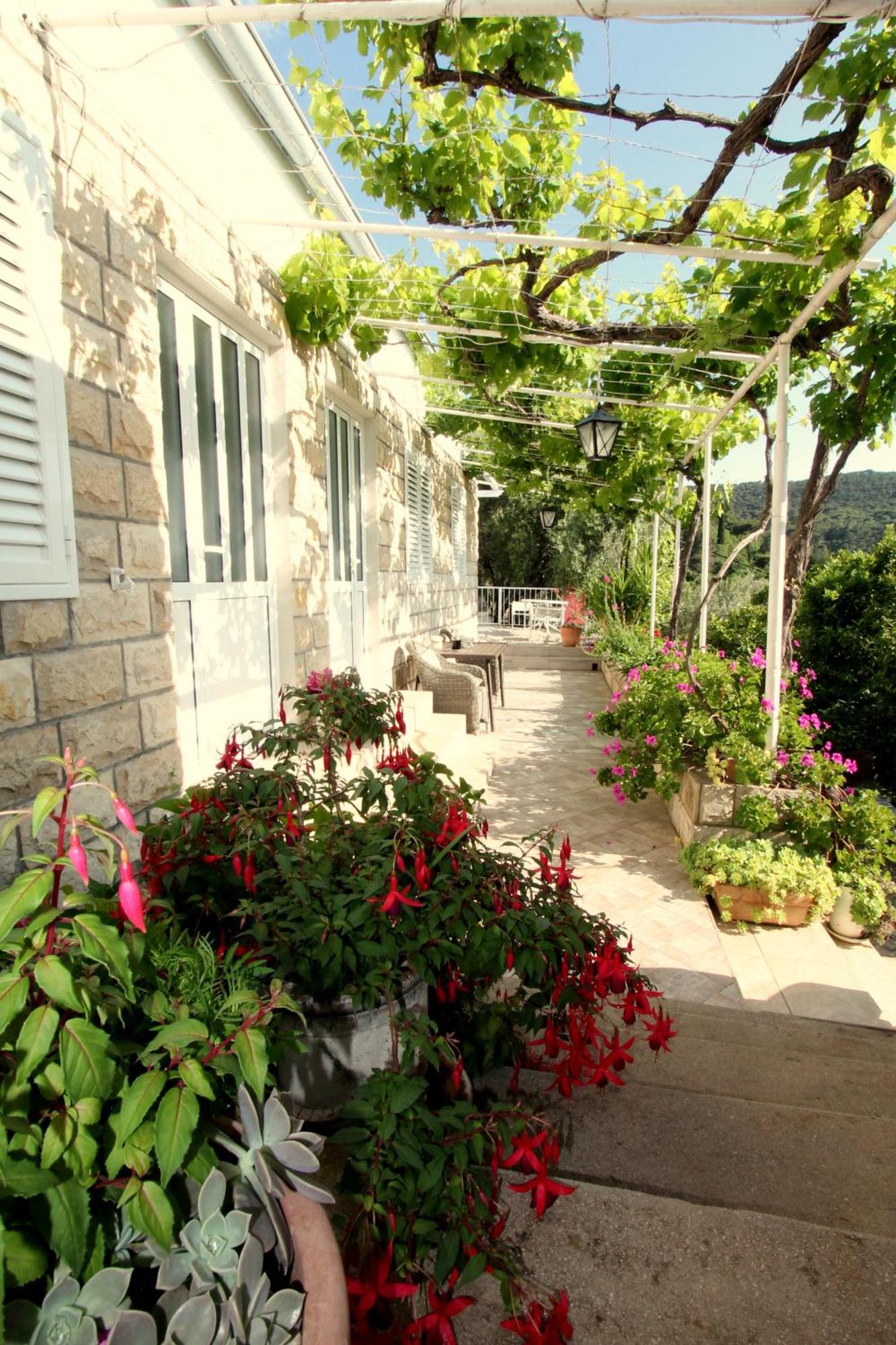 Apartments Cervelin Lopud Exterior photo